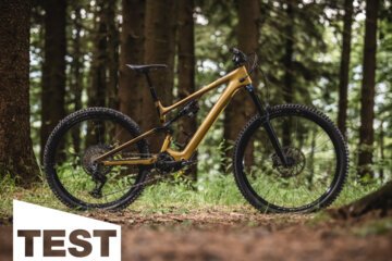 Specialized Levo SL Expert im Test: Das allroundigste Light-E-MTB am Markt?
