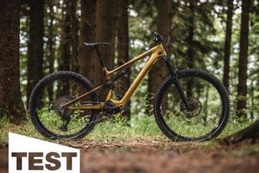 Specialized Levo SL Expert im Test: Das allroundigste Light-E-MTB am Markt?