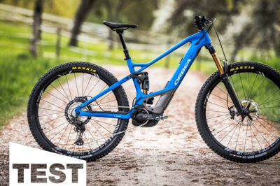 Orbea Wild FS Team im Test: Farbe! Performance! Wild!
