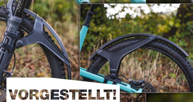 Artikel-Titelbild